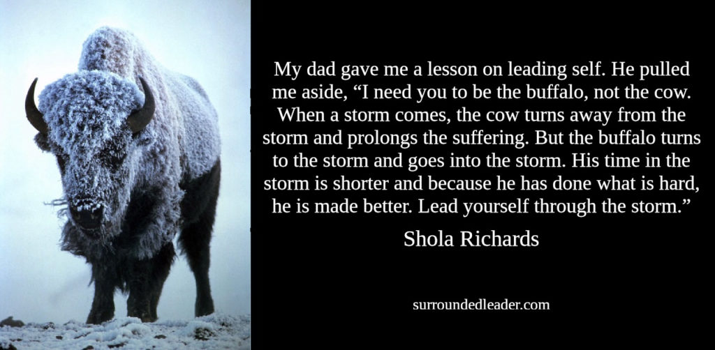 Be The Buffalo