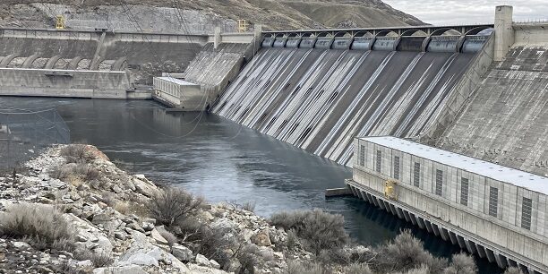 Emotional Reservoir